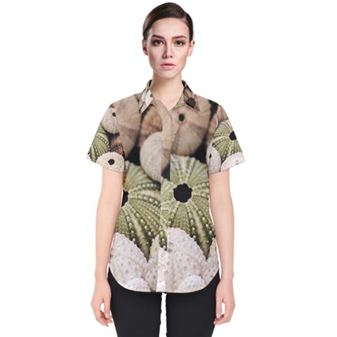 Sea Urchins Women s Short Sleeve Shirt by TheLazyPineapple