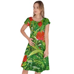 Red Flowers And Green Plants At Outdoor Garden Classic Short Sleeve Dress by dflcprintsclothing