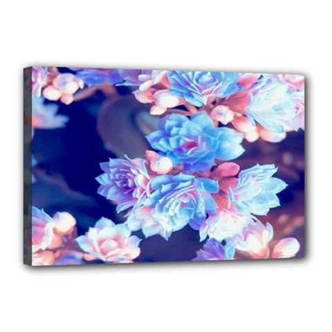 Flowers Canvas 18  X 12  (stretched) by Sparkle
