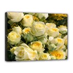 Yellow Roses Canvas 16  x 12  (Stretched)