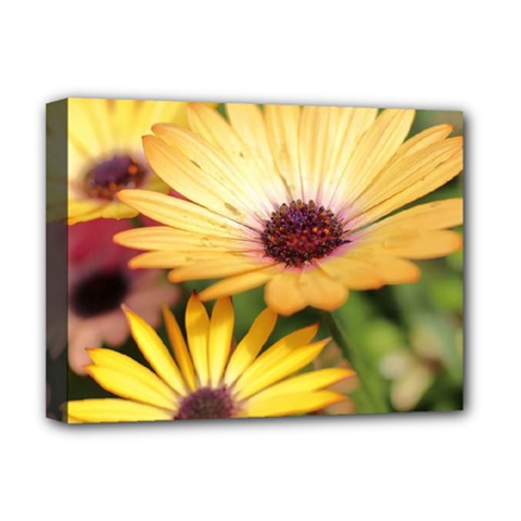 Yellow Flowers Deluxe Canvas 16  X 12  (stretched)  by Sparkle