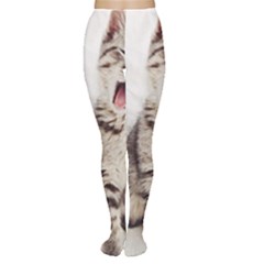 Laughing Kitten Tights by Sparkle
