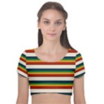 Rainbow Stripes Velvet Short Sleeve Crop Top 