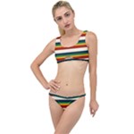 Rainbow Stripes The Little Details Bikini Set