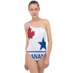 CanAm Highway Shield  Classic One Shoulder Swimsuit