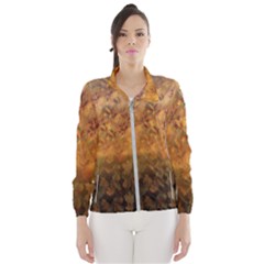 Fall Leaves Gradient Small Women s Windbreaker by Abe731