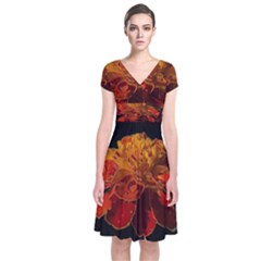Marigold On Black Short Sleeve Front Wrap Dress by MichaelMoriartyPhotography