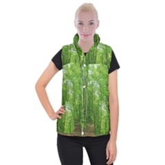 In The Forest The Fullness Of Spring, Green, Women s Button Up Vest by MartinsMysteriousPhotographerShop