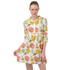 Citrus Gouache Pattern Mini Skater Shirt Dress