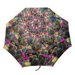 Cactus Folding Umbrellas by Sparkle
