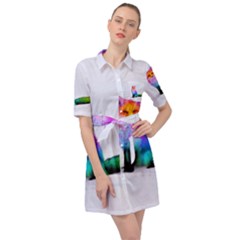 Rainbowfox Belted Shirt Dress by Sparkle
