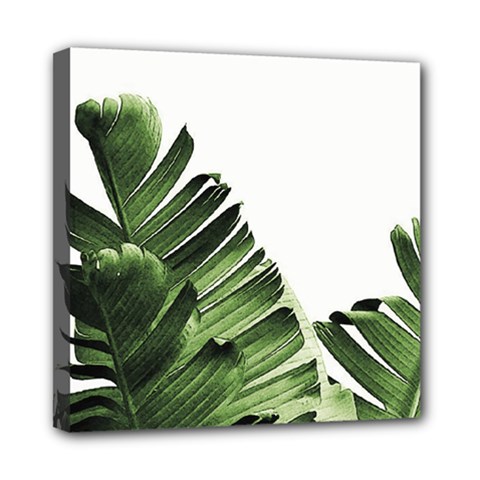 Green Banana Leaves Mini Canvas 8  X 8  (stretched) by goljakoff