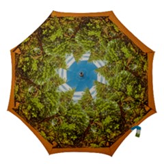 Carob Tree, Talampaya National Park, La Rioja, Argentina Hook Handle Umbrellas (large) by dflcprintsclothing