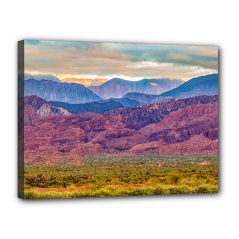 Arid Andean Landscape, La Rioja, Argentina010 Canvas 16  X 12  (stretched) by dflcprintsclothing