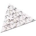 American Football Ball Motif Print Pattern Wooden Puzzle Triangle View3
