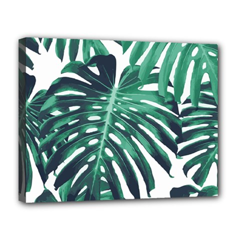 Green Monstera Leaf Canvas 14  X 11  (stretched) by goljakoff