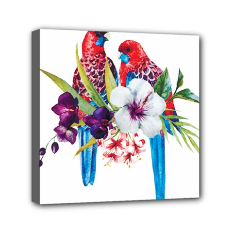 Tropical Parrots Mini Canvas 6  X 6  (stretched) by goljakoff