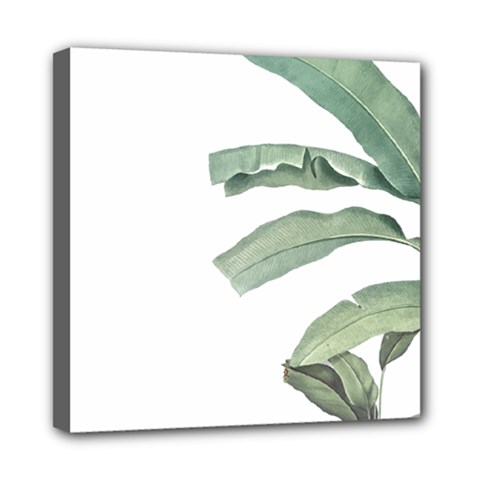 Palm Leaves Mini Canvas 8  X 8  (stretched) by goljakoff
