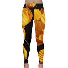 Yellow Poppies Classic Yoga Leggings by Audy