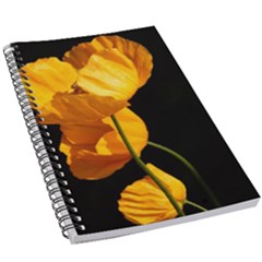 Yellow Poppies 5 5  X 8 5  Notebook by Audy