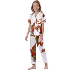 Dragon Art Glass Metalizer China Kids  Satin Short Sleeve Pajamas Set