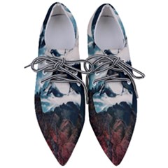 Dream Whale Pointed Oxford Shoes by goljakoff