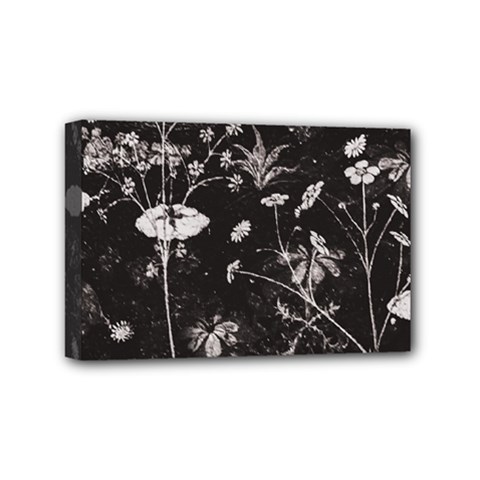 Dark Floral Artwork Mini Canvas 6  X 4  (stretched) by dflcprintsclothing