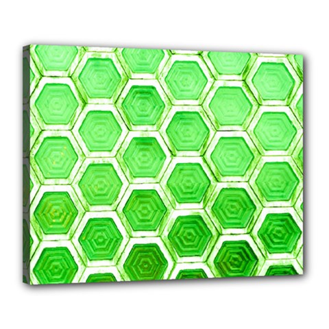 Hexagon Windows Canvas 20  X 16  (stretched) by essentialimage