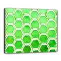 Hexagon Windows Canvas 20  x 16  (Stretched) View1