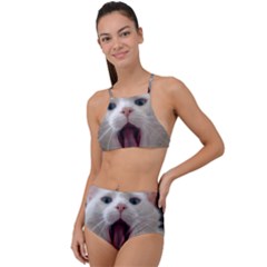Wow Kitty Cat From Fonebook High Waist Tankini Set by 2853937