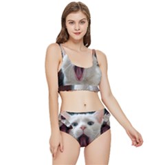 Wow Kitty Cat From Fonebook Frilly Bikini Set by 2853937
