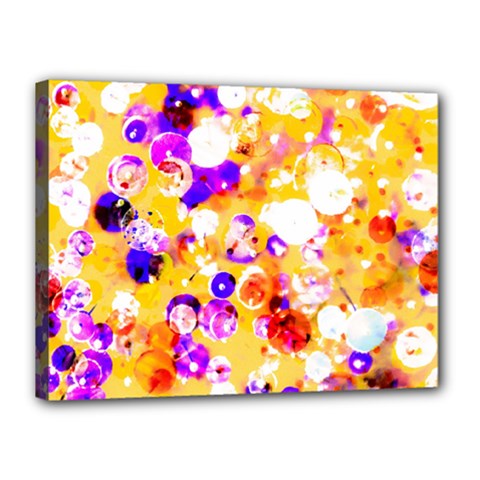 Summer Sequins Canvas 16  X 12  (stretched) by essentialimage