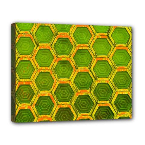 Hexagon Windows Canvas 14  X 11  (stretched) by essentialimage365