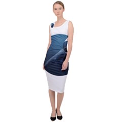 Blue Whales Sleeveless Pencil Dress by goljakoff