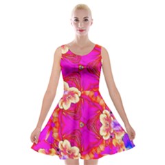 Pink Beauty Velvet Skater Dress by LW323