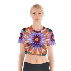 Passion Flower Cotton Crop Top by LW323