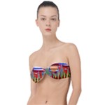 Forrest Sunset Classic Bandeau Bikini Top 