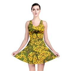 Daisy May Reversible Skater Dress by LW323