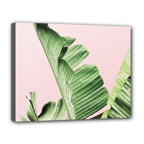 Palm Leaves On Pink Canvas 14  X 11  (stretched) by goljakoff