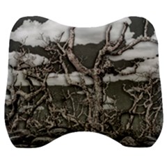 Dark Fantasy Landscape Poster Velour Head Support Cushion by dflcprintsclothing