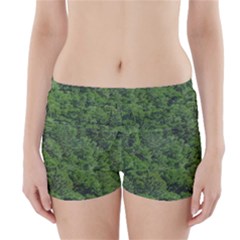 Leafy Forest Landscape Photo Boyleg Bikini Wrap Bottoms by dflcprintsclothing