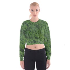 Leafy Forest Landscape Photo Cropped Sweatshirt by dflcprintsclothing