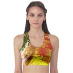 Fraction Space 3 Sports Bra