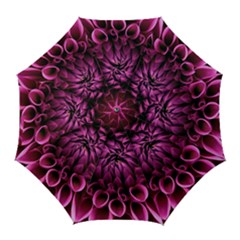 Dahlia-flower-purple-dahlia-petals Golf Umbrellas by Sapixe