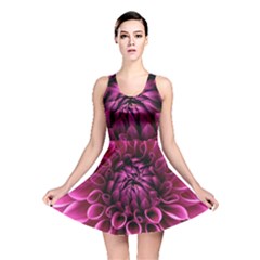 Dahlia-flower-purple-dahlia-petals Reversible Skater Dress by Sapixe