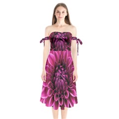 Dahlia-flower-purple-dahlia-petals Shoulder Tie Bardot Midi Dress by Sapixe