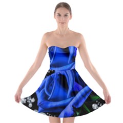 Blue-rose-rose-rose-bloom-blossom Strapless Bra Top Dress by Sapixe