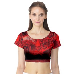 Planet-hell-hell-mystical-fantasy Short Sleeve Crop Top by Sudhe