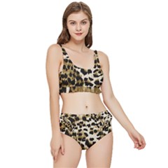Leopard-print 2 Frilly Bikini Set by skindeep