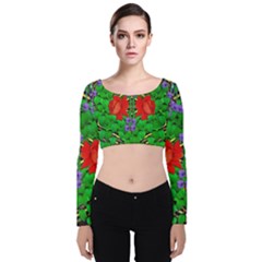 A Island Of Roses In The Calm Sea Velvet Long Sleeve Crop Top by pepitasart